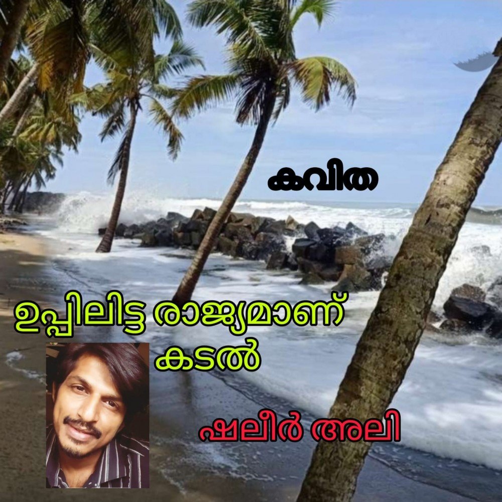 ഉപ്പിലിട്ട രാജ്യമാണ് കടൽ ( കവിത:ഷലീർ അലി )
