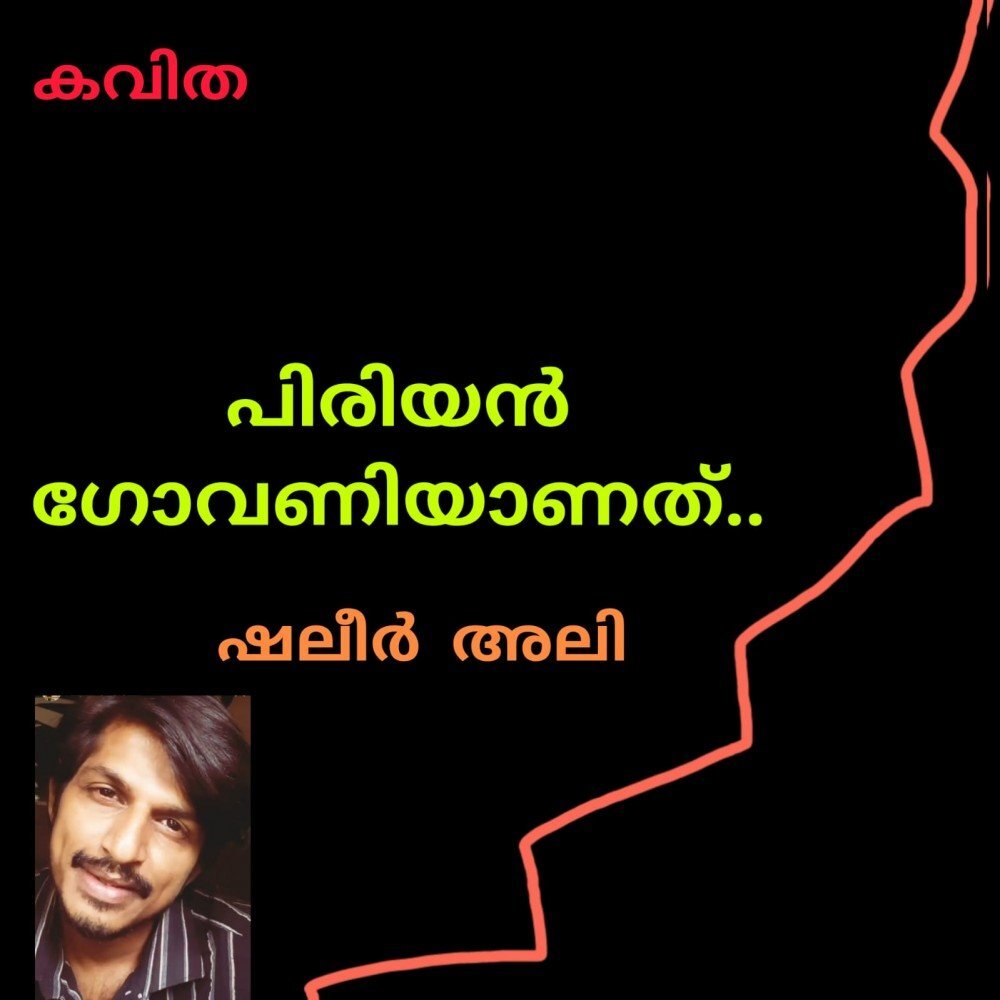 പിരിയൻ ഗോവണിയാണത് ( കവിത : ഷലീർ അലി )