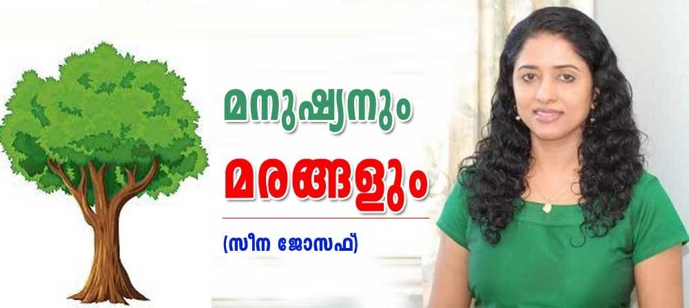 മനുഷ്യരും മരങ്ങളും (കവിത: സീന ജോസഫ്)