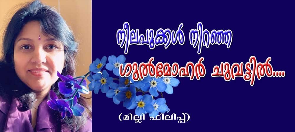 നീലപൂക്കൾ നിറഞ്ഞ ഗുൽ മോഹർ ചുവട്ടിൽ ......(ചെറുകഥ: മില്ലി ഫിലിപ്പ്)