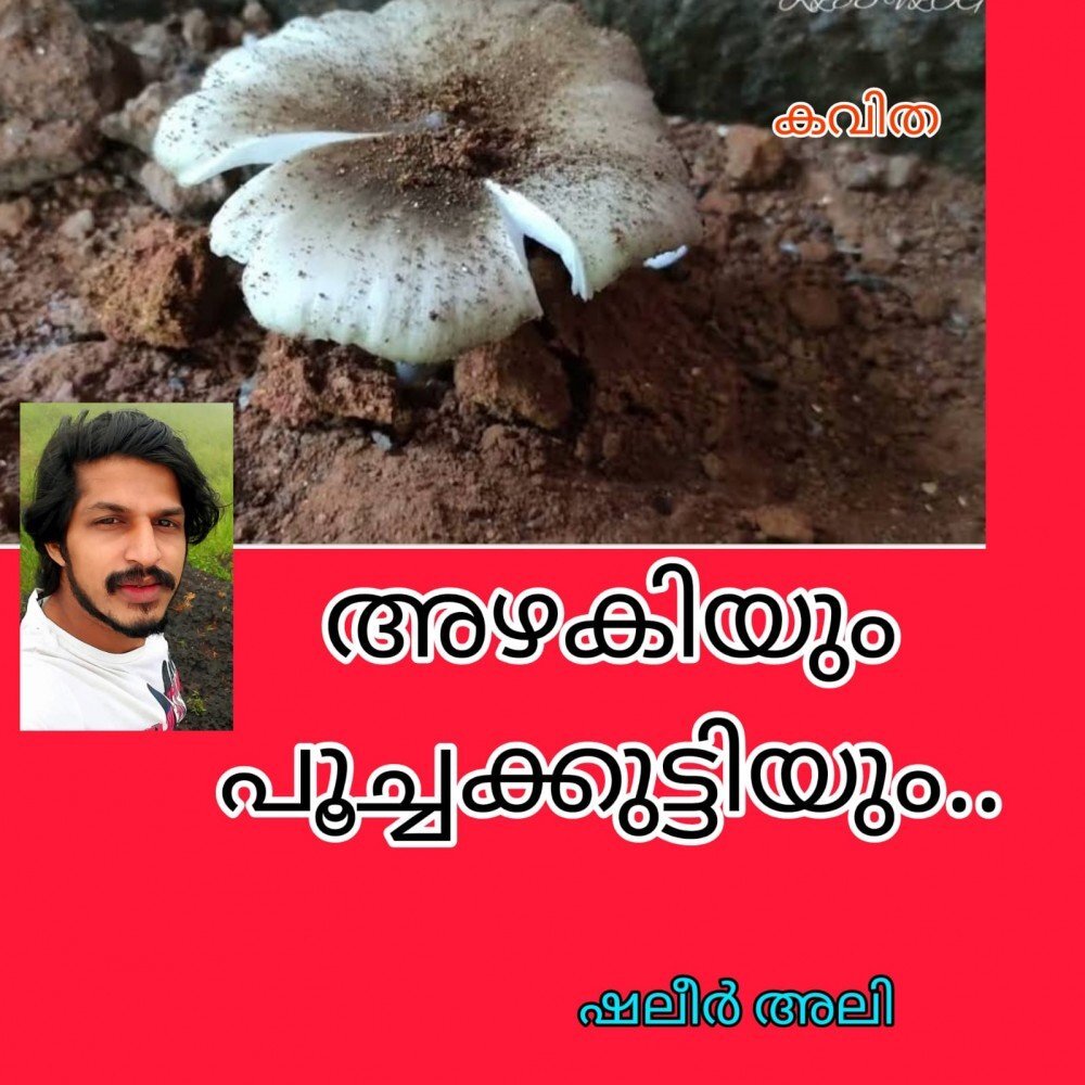 അഴകിയും പൂച്ചക്കുട്ടിയും ( കവിത :ഷലീർ അലി )