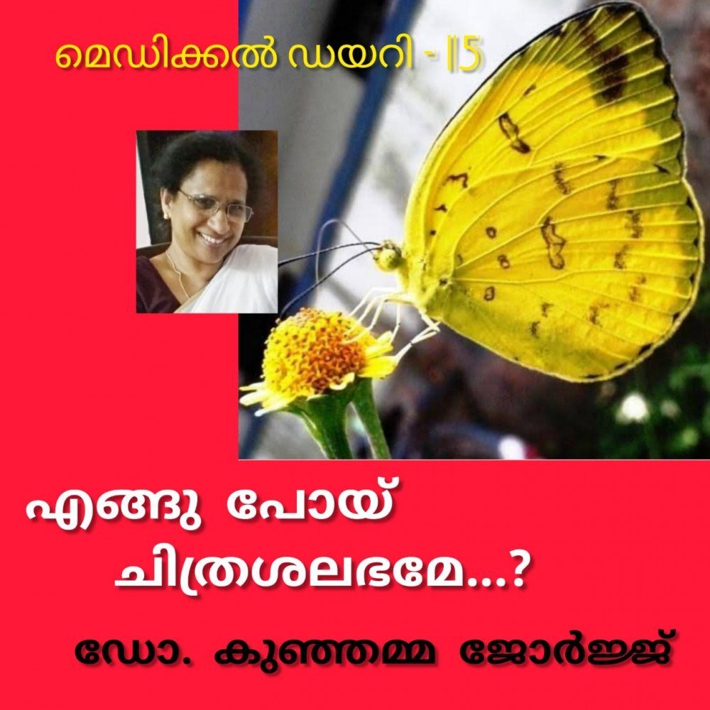 എങ്ങു പോയ് ചിത്ര ശലഭമേ..? : ഡോ. കുഞ്ഞമ്മ ജോർജ്ജ് (മെഡിക്കൽ ഡയറി - 15 )