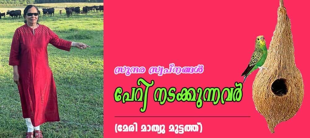 സുന്ദര സ്വപ്നങ്ങള് പേറി നടക്കുന്നവര് (മേരി മാത്യു മുട്ടത്ത്)