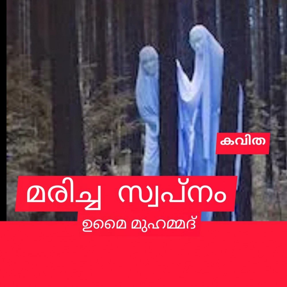 മരിച്ച സ്വപ്നം.( കവിത : ഉമൈ മുഹമ്മദ് )