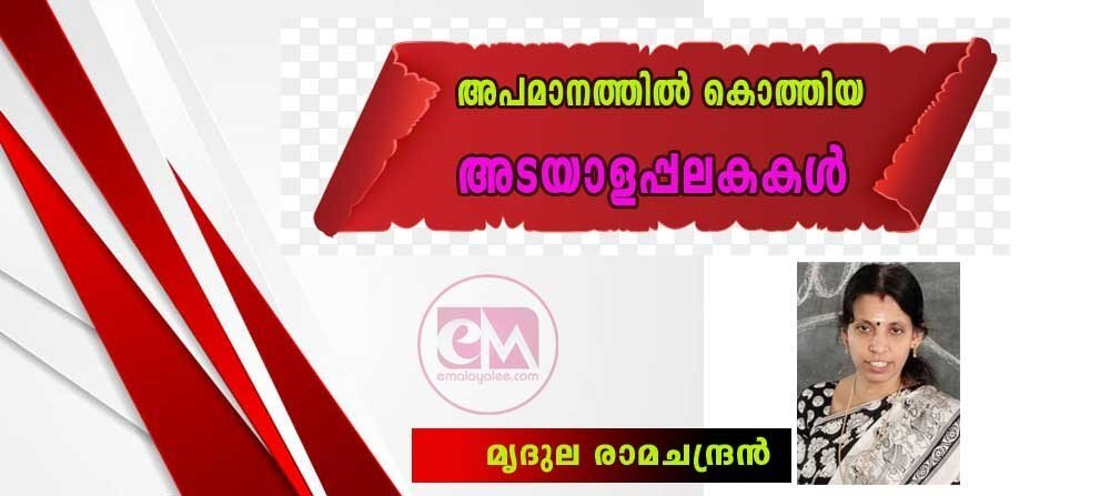 അപമാനത്തിൽ കൊത്തിയ അടയാളപ്പലകകൾ (മൃദുല രാമചന്ദ്രൻ)