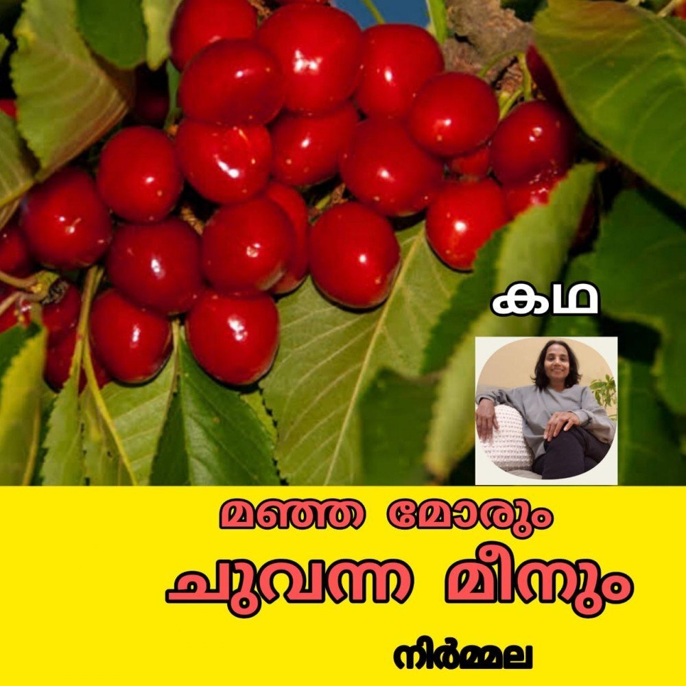 മഞ്ഞമോരും ചുവന്ന മീനും ( കഥ: നിർമ്മല )