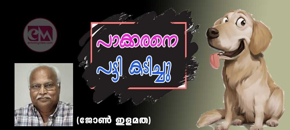 പാക്കരനെ പട്ടികടിച്ചു (ചിത്രീകരണം: ജോണ്‍ ഇളമത)