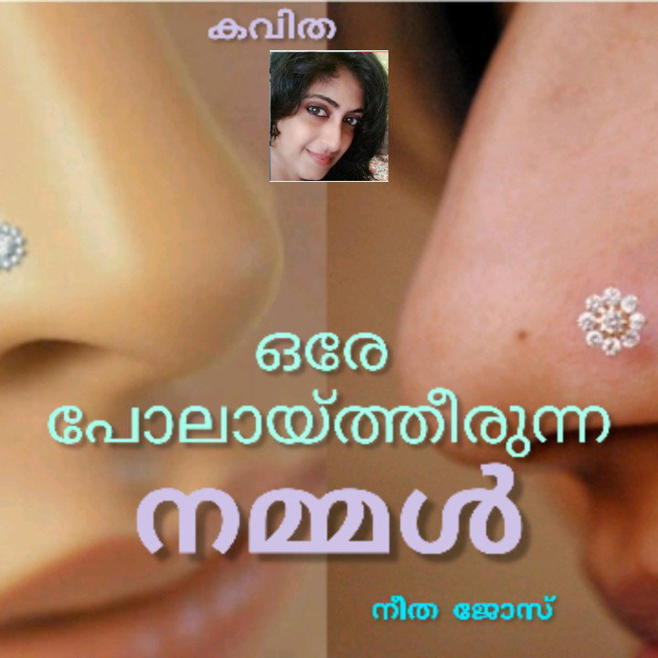ഒരേ പോലായ്ത്തീരുന്ന നമ്മൾ ( കവിത : നീത ജോസ് )