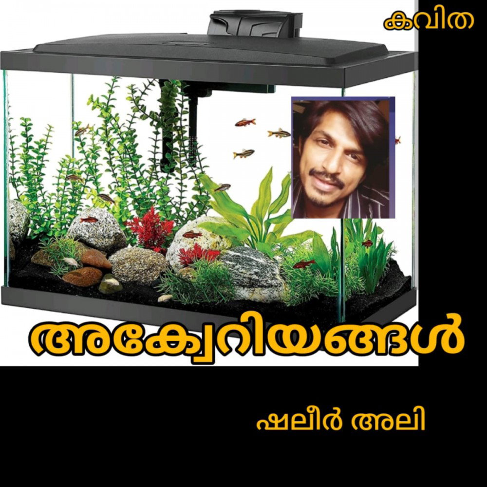 അക്വേറിയങ്ങൾ ( കവിത : ഷലീർ അലി )