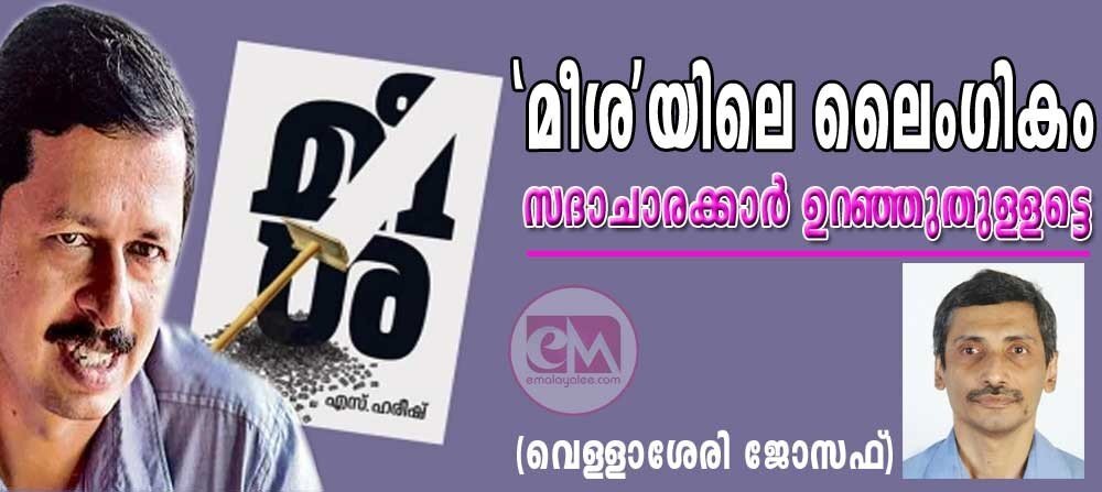 'മീശ'യിലെ ലൈംഗികം: സദാചാരക്കാർ ഉറഞ്ഞു തുള്ളട്ടെ (വെള്ളാശേരി ജോസഫ്)
