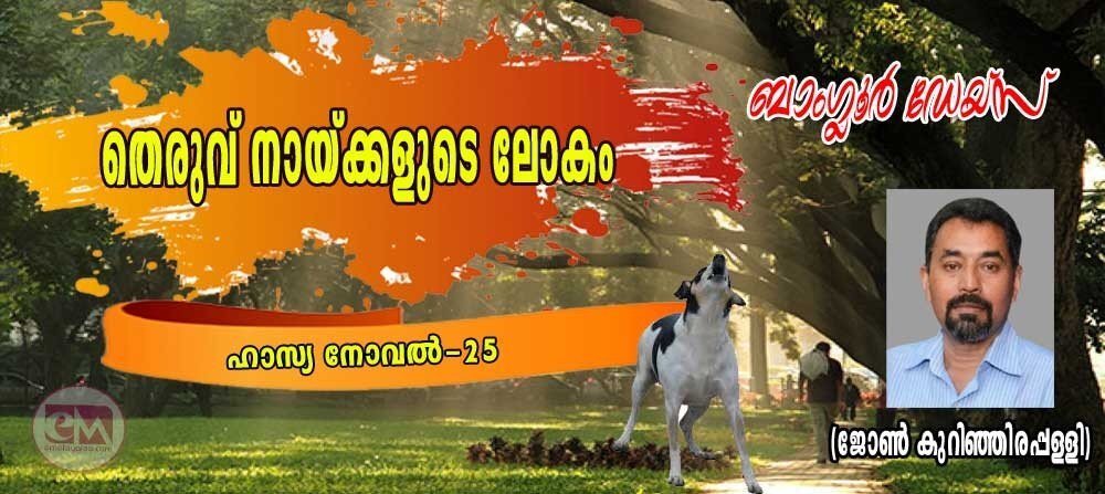 തെരുവ് നായ്ക്കളുടെ ലോകം (ബാംഗ്ലൂര് ഡേയ്സ്- ഹാസ്യനോവല്: 25: ജോണ് കുറിഞ്ഞിരപ്പള്ളി)