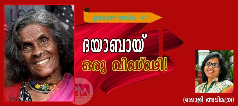 ദയാബായ് ഒരു വിഢ്ഢി !(ഉയരുന്ന ശബ്ദം-67: ജോളി അടിമത്ര)
