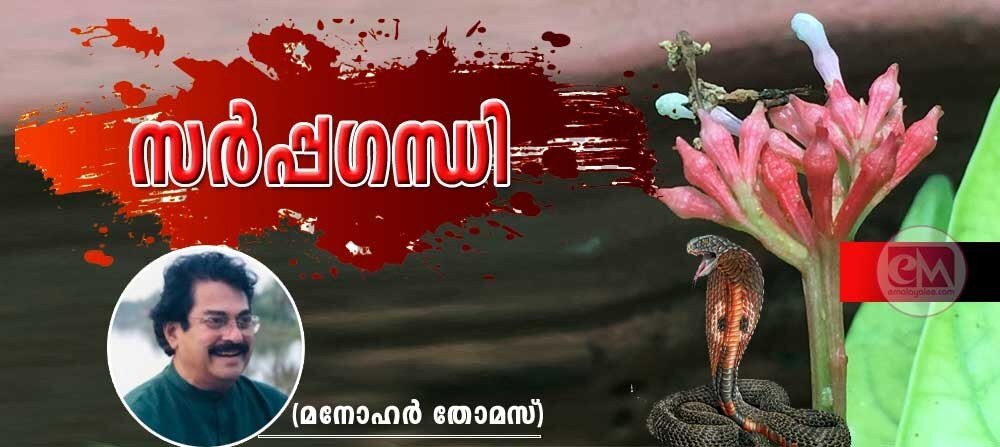സർപ്പഗന്ധി (ചെറുകഥ: മനോഹർ തോമസ്)