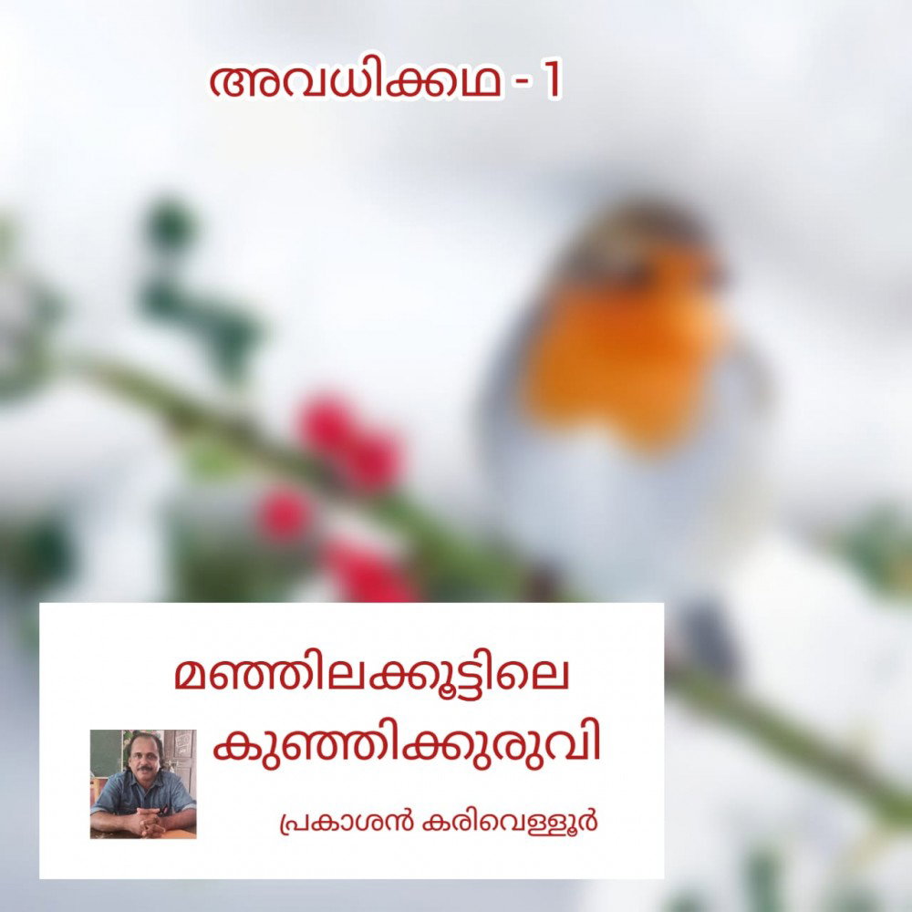 മഞ്ഞിലക്കൂട്ടിലെ കുഞ്ഞിക്കുരുവി ( അവധിക്കഥ - 1 - പ്രകാശൻ കരിവെള്ളൂർ )