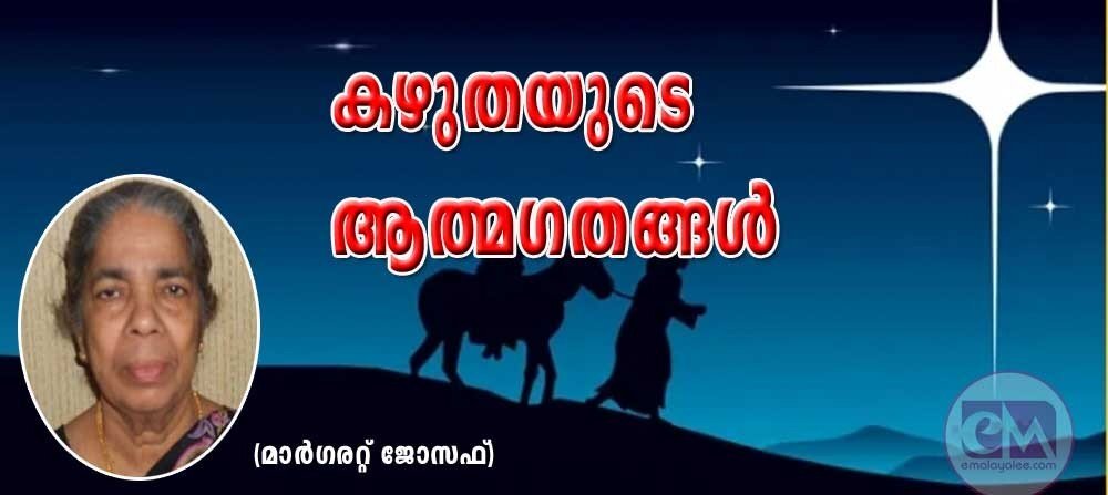 കഴുതയുടെ ആത്മഗതങ്ങള് (മാര്ഗരറ്റ് ജോസഫ്)