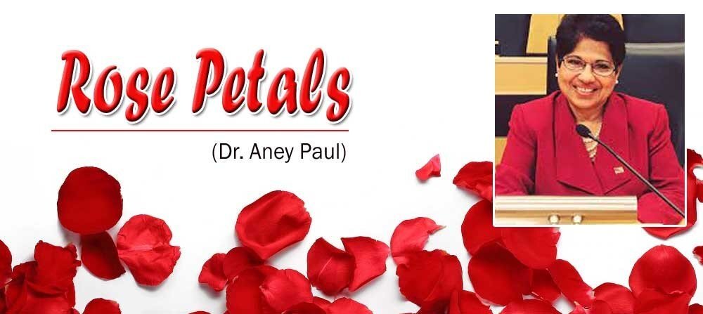 Rose Petals (Dr. Aney Paul)