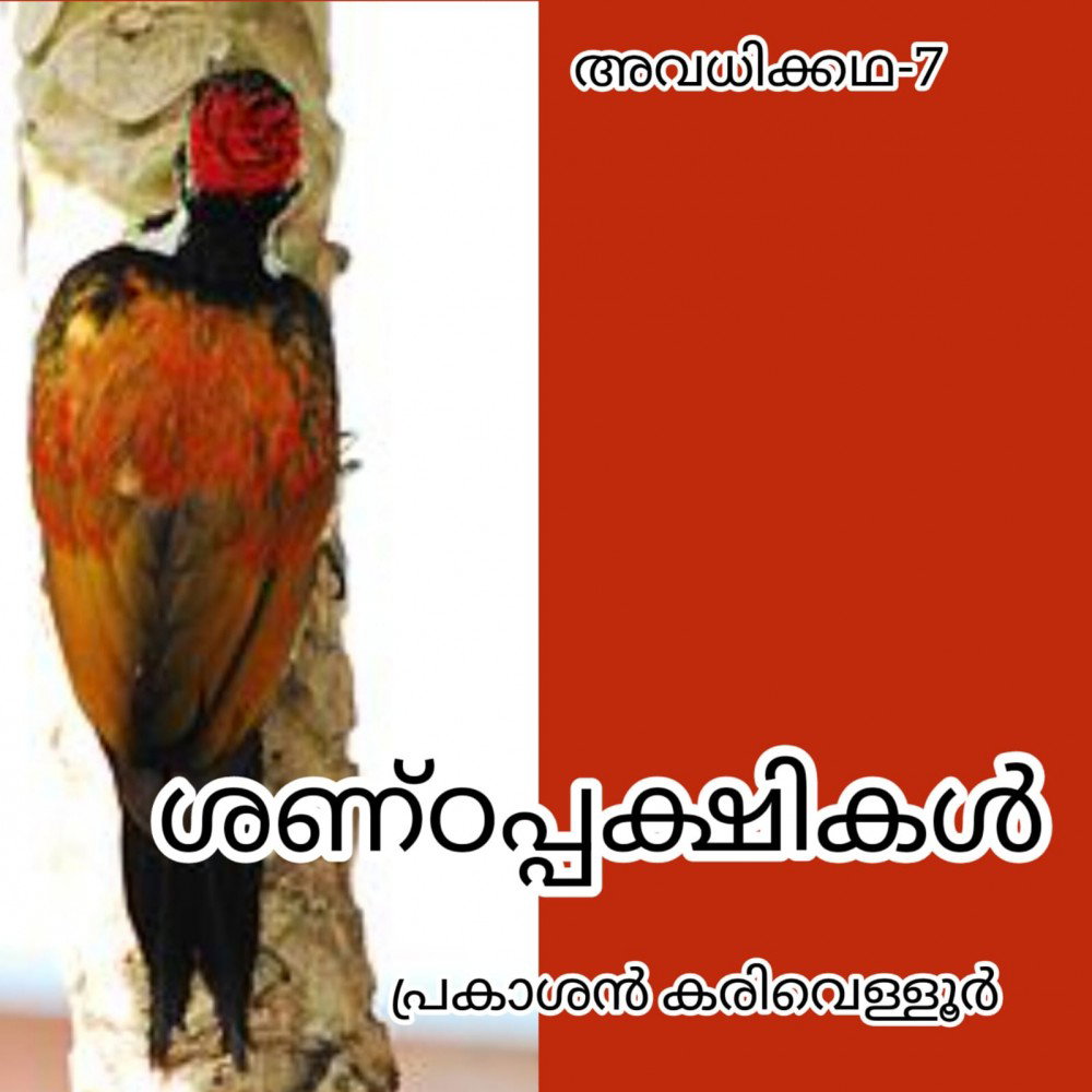 ശണ്ഠപ്പക്ഷികൾ ( അവധിക്കഥ - 7 - പ്രകാശൻ കരിവെള്ളൂർ )