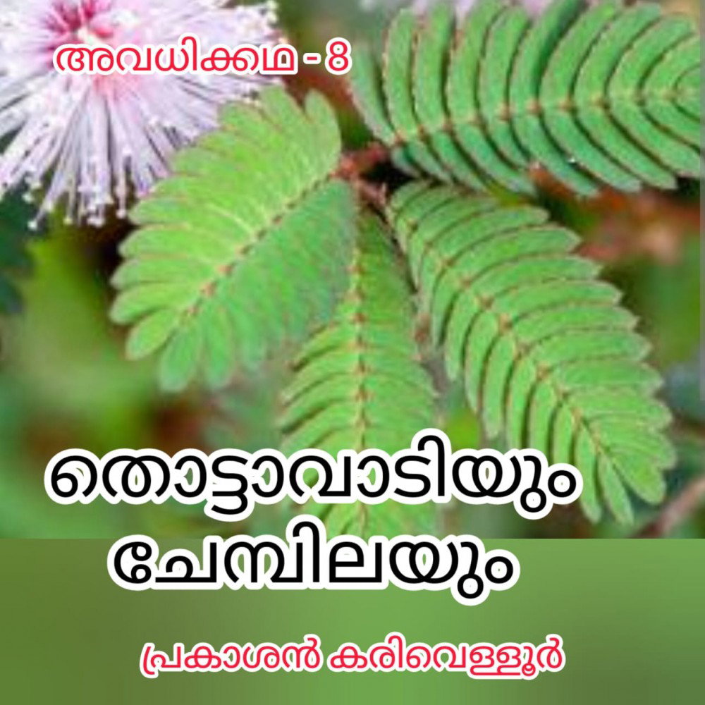 തൊട്ടാവാടിയും ചേമ്പിലയും - അവധിക്കഥ - 8 : പ്രകാശൻ കരിവെള്ളൂർ