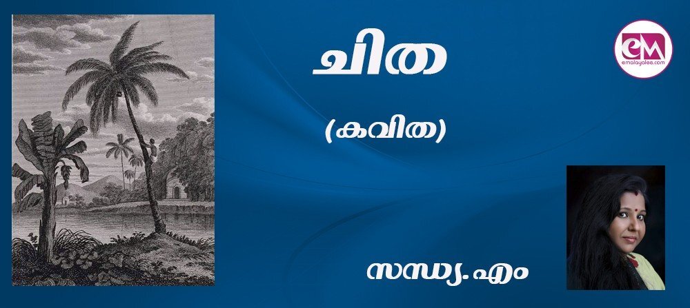 ചിത : (കവിത : സന്ധ്യ എം)