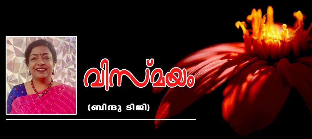 വിസ്മയം (ബിന്ദു ടിജി)