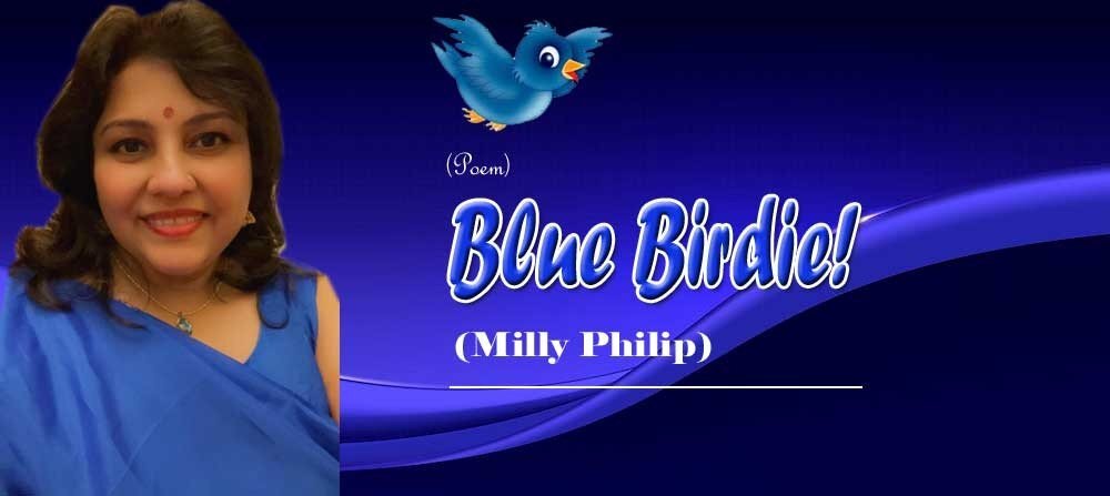 Blue Birdie! (Poem: Milly Philip)