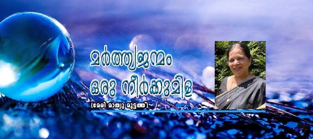 മര്ത്ത്യജന്മം ഒരു നീര്ക്കുമിള (മേരി മാത്യു മുട്ടത്ത്)