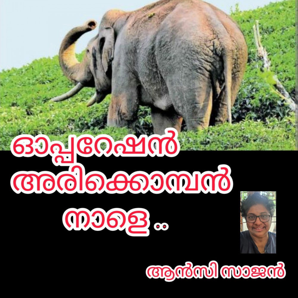 ഓപ്പറേഷൻ അരിക്കൊമ്പൻ: ആൻസി സാജൻ
