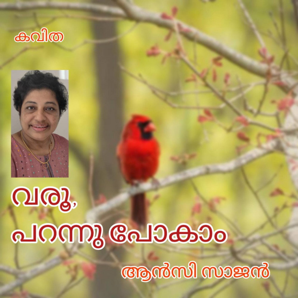 വരൂ, പറന്നു പോകാം ( കവിത : ആൻസി സാജൻ )