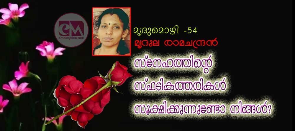 സ്നേഹത്തിന്റെ സ്ഫടികത്തരികൾ സൂക്ഷിക്കുന്നുണ്ടോ നിങ്ങൾ? (മൃദുമൊഴി 54: മൃദുല രാമചന്ദ്രൻ)