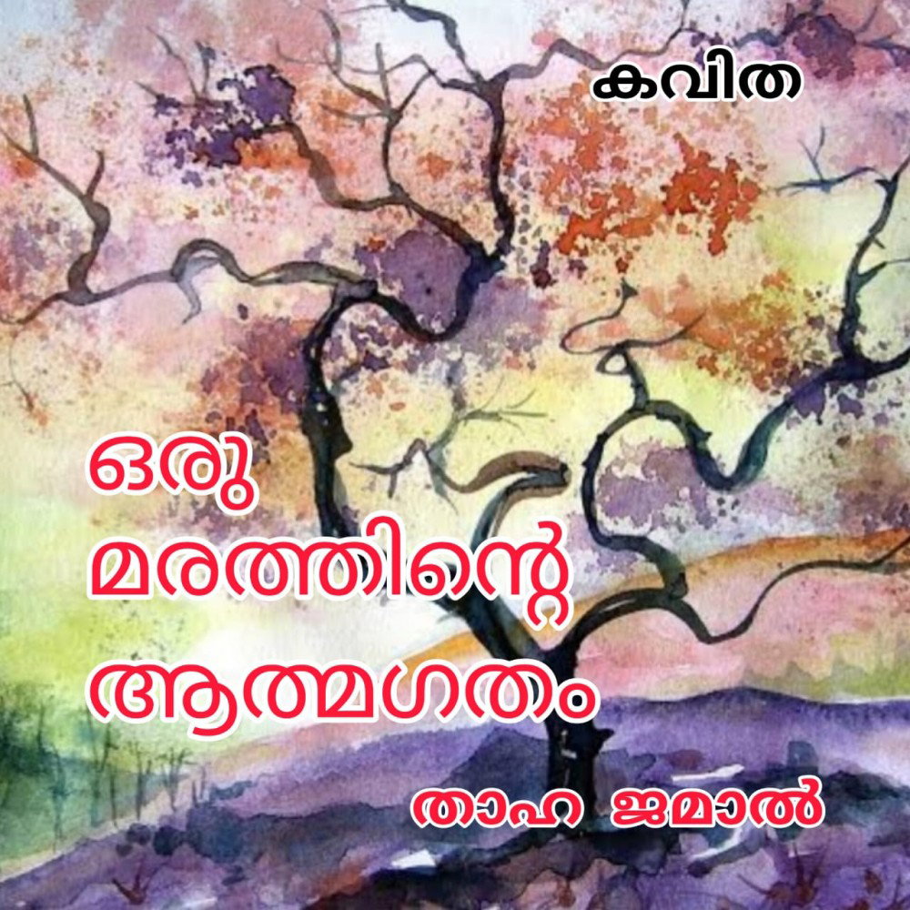 ഒരു മരത്തിൻ്റെ ആത്മഗതം ( കവിത : താഹ ജമാൽ )