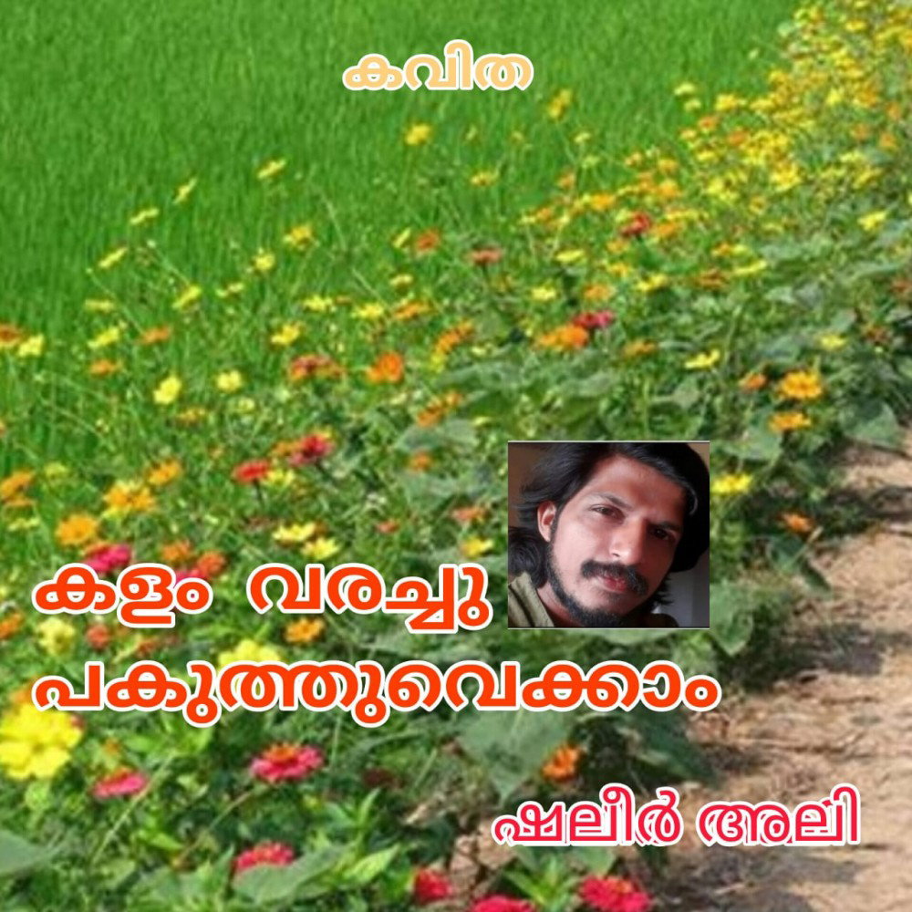 കളം വരച്ചു പകുത്തു വെക്കാം ( കവിത : ഷലീർ അലി )