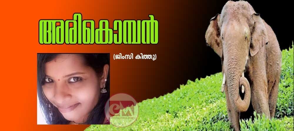 അരികൊമ്പൻ (ജിംസി കിത്തു)