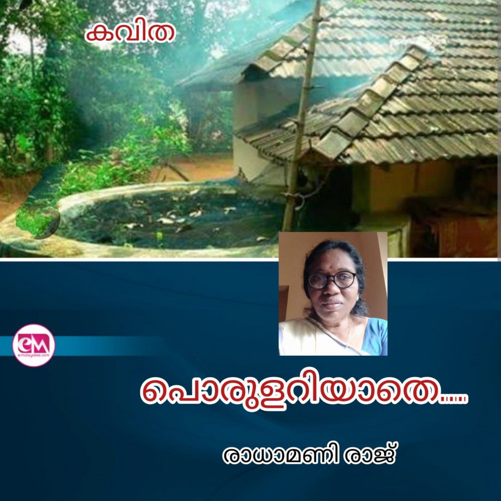 പൊരുളറിയാതെ ( കവിത : രാധാമണി രാജ് )