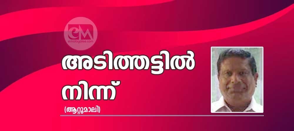 അടിത്തട്ടിൽ നിന്ന് (ആറ്റുമാലി)