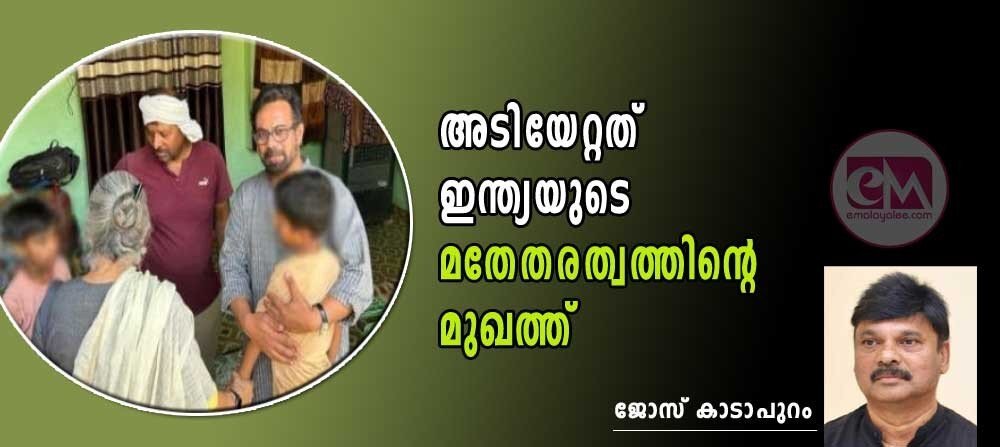 അടിയേറ്റതു ഇന്ത്യയുടെ  മതേതരത്വത്തിന്റെ മുഖത്ത്‌ (ജോസ് കാടാപുറം)