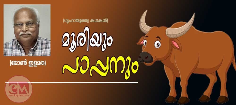 മൂരിയും പാപ്പനും (ഗൃഹാതുരത്വ കഥകള്: ജോണ് ഇളമത)