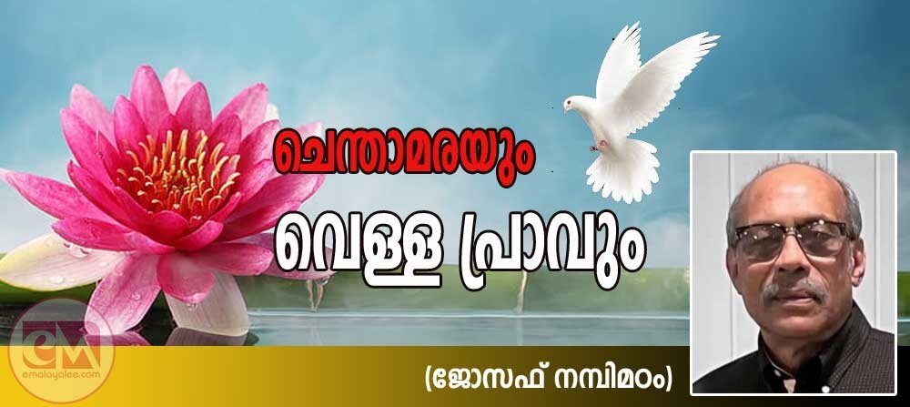 ചെന്താമരയും വെള്ളപ്രാവും (കവിത: ജോസഫ് നന്പിമഠം)