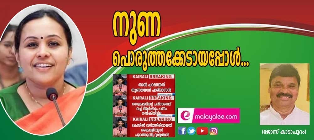 നുണ പൊരുത്തക്കേടായപ്പോള് ...: (ജോസ് കാടാപുറം)