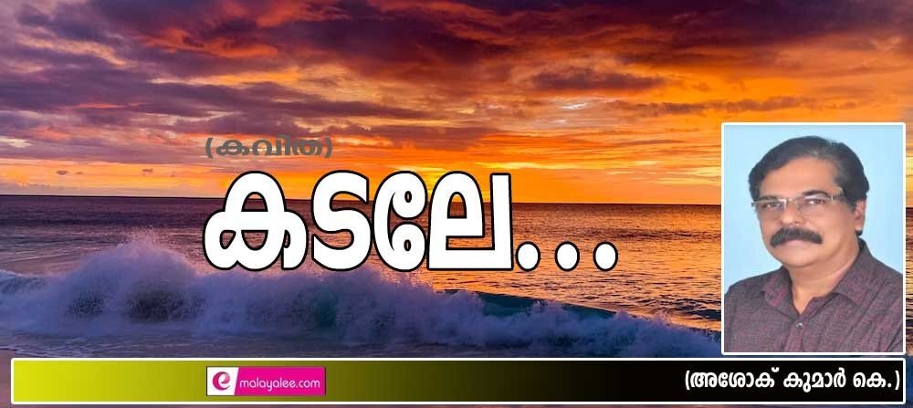 കടലേ....(കവിത: അശോക് കുമാർ.കെ)