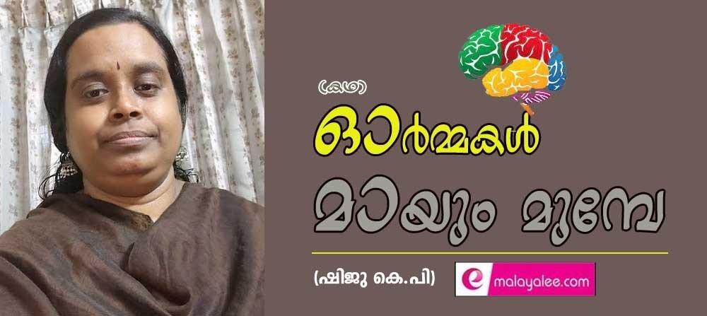 ഓർമ്മകൾ മായും മുമ്പേ ( കഥ: ഷിജു കെ പി)