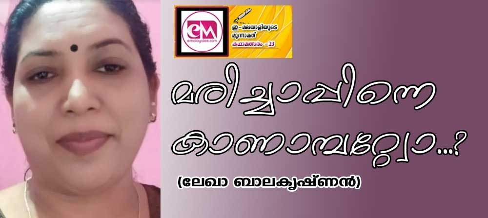 മരിച്ചാപ്പിന്നെ കാണാമ്പറ്റ്വോ..? '(കഥ: ലേഖാ ബാലകൃഷ്ണന്