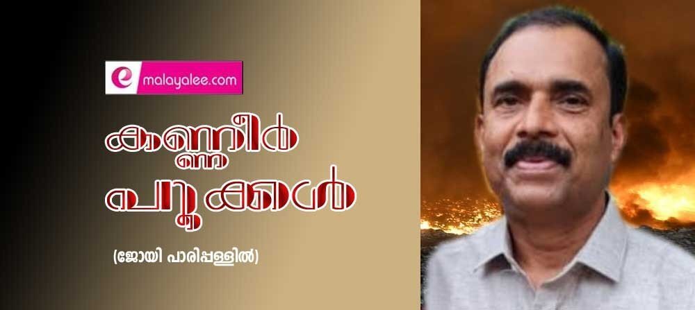  കണ്ണീർ പൂക്കൾ (കവിത: ജോയി പാരിപ്പള്ളില്‍)
