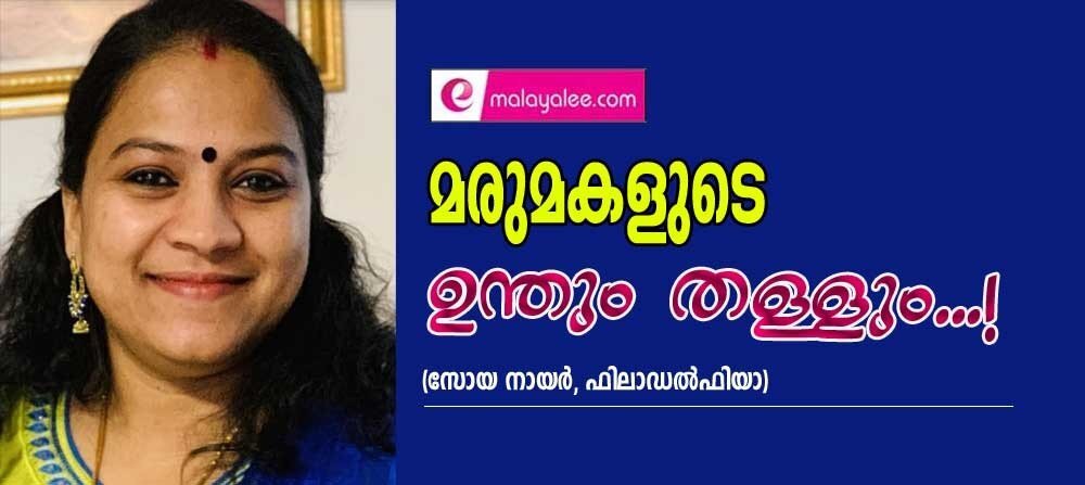 മരുമകളുടെ ഉന്തും തള്ളും..! (സോയ നായർ, ഫിലഡൽഫിയാ)