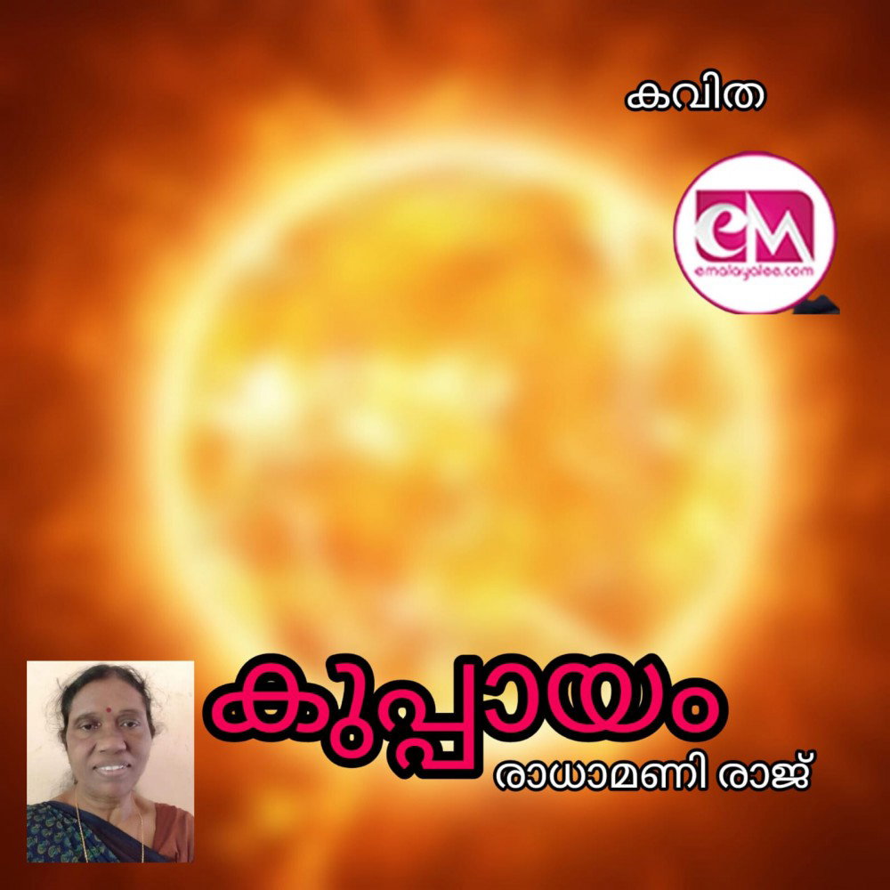 കുപ്പായം ( കവിത : രാധാമണി രാജ് )