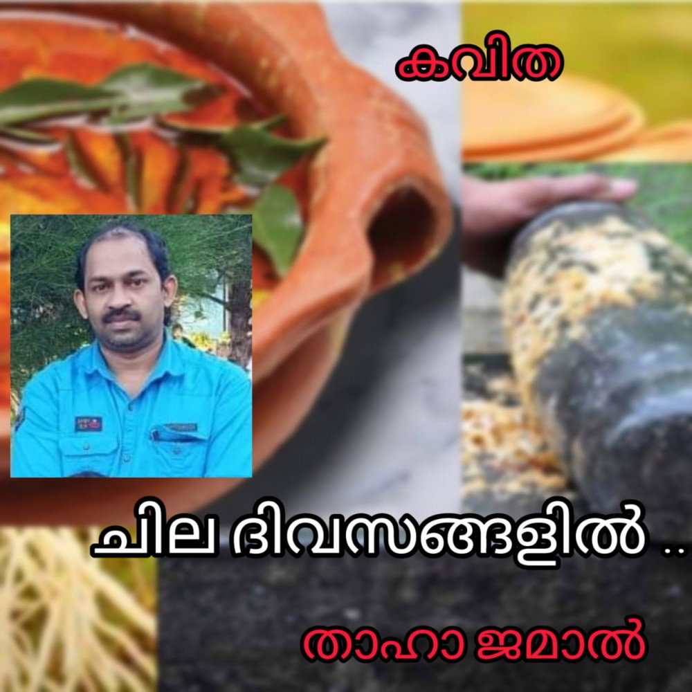 ചില ദിവസങ്ങളിൽ ( കവിത : താഹാ ജമാൽ )