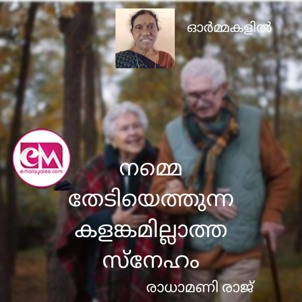 നമ്മെ തേടിയെത്തുന്ന കളങ്കമില്ലാത്ത സ്നേഹം :  രാധാമണി രാജ്