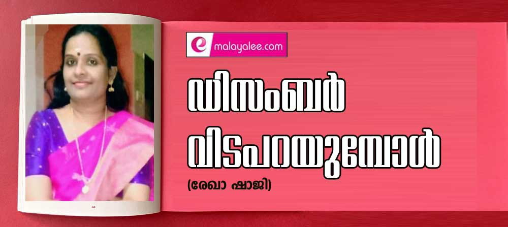 ഡിസംബർ വിട പറയുമ്പോൾ (കവിത: രേഖാ ഷാജി)