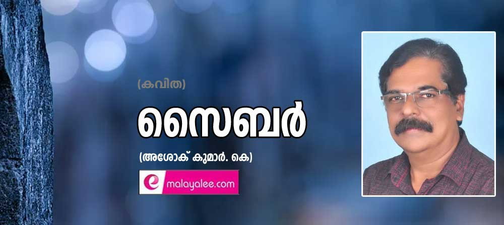സൈബർ (കവിത: അശോക് കുമാർ. കെ)