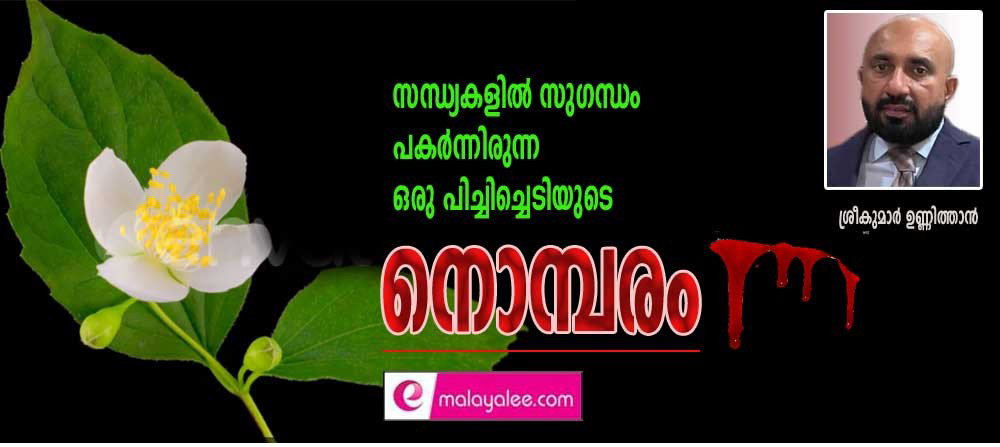 സന്ധ്യകളിൽ സുഗന്ധം പകർന്നിരുന്ന ഒരു പിച്ചിച്ചെടിയുടെ നൊമ്പരം ( ശ്രീകുമാർ ഉണ്ണിത്താൻ)
