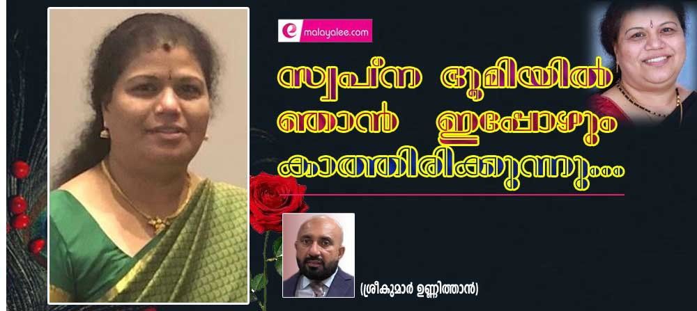 സ്വപ്ന ഭൂമിയിൽ ഞാൻ ഇപ്പോഴും കാത്തിരിക്കുന്നു...(ശ്രീകുമാർ ഉണ്ണിത്താൻ)